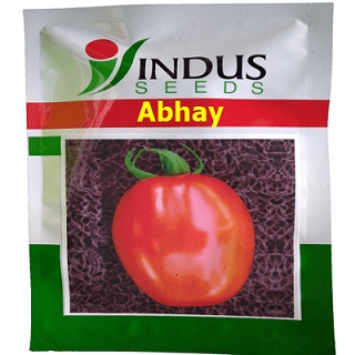 Abhay Device mark 4910228 Trademark