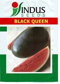 Indus Seeds Black Queen Device mark 4910231 Trademark