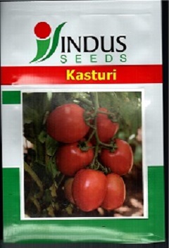 Kasturi Device mark 4910327 Trademark