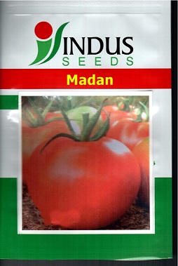 Madan Indus Seeds With Device Device mark 4910328 Trademark