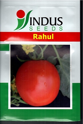 Rahul Device mark 4911476 Trademark