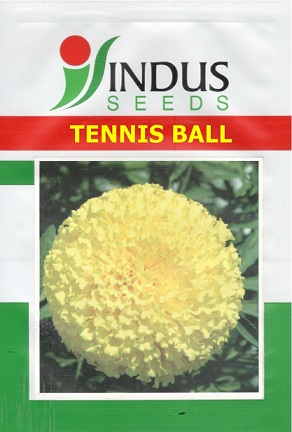 Tennis Ball Device mark 4911478 Trademark