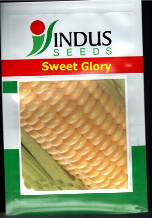 Sweet Glory Device mark 4911477 Trademark