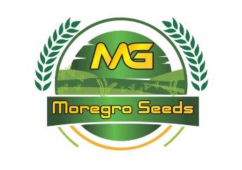 Mg Moregro Seeds Device mark 4911968 Trademark