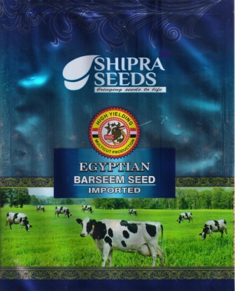 Egyptian Barseem Seed With Shipra Seeds Device mark 4913030 Trademark
