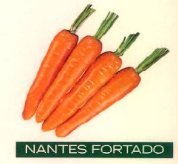 Nantes Fortado Device mark 4915498 Trademark