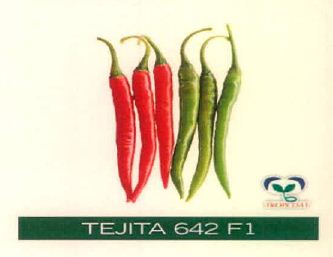 Tejita 642 F1 Device mark 4915493 Trademark