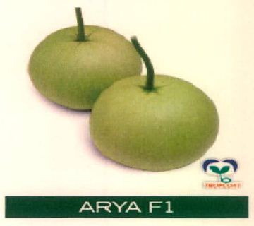 Arya F1 Device mark 4915500 Trademark