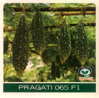Pragati 065 F1 Device mark 4915501 Trademark