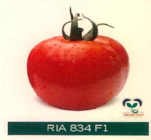 Ria 834 F1 Device mark 4915505 Trademark