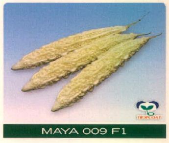 Maya 009 F1 Device mark 4915502 Trademark