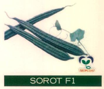 Sorot F1 Device mark 4915490 Trademark