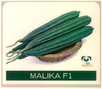 Malika F1 Device mark 4915492 Trademark