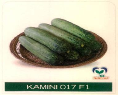 Kamini 017 F1 Device mark 4915496 Trademark
