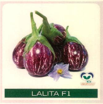 Lalita F1 Device mark 4915494 Trademark