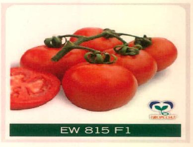 Ew 815 F1 Device mark 4915503 Trademark