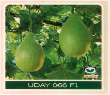 Uday 066 F1 Device mark 4915499 Trademark