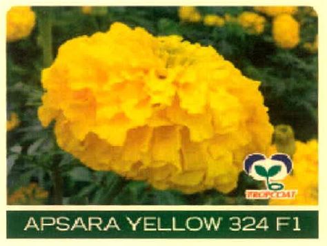 Apsara Yellow 324 F1 Device mark 4915470 Trademark