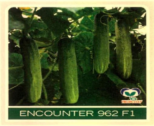 Encounter 962 F1 Device mark 4915468 Trademark