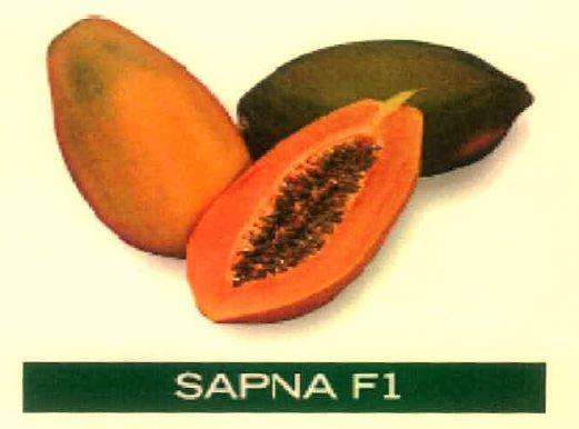Sapna F1 Device mark 4915472 Trademark