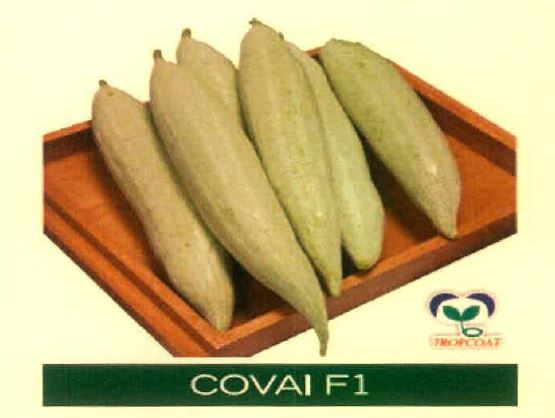 Covai F1 Device mark 4915475 Trademark