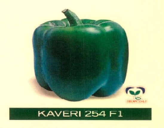 Kaveri 254 F1 Device mark 4915476 Trademark
