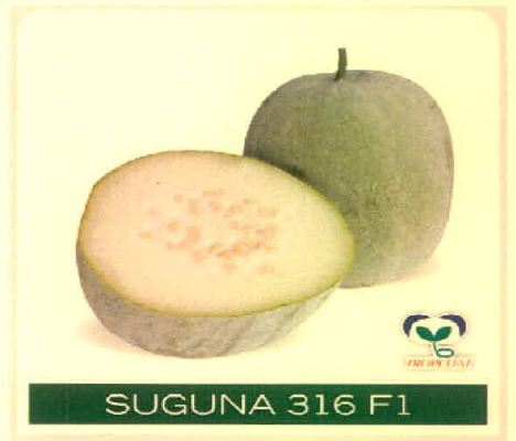 Suguna 316 F1 Device mark 4915480 Trademark