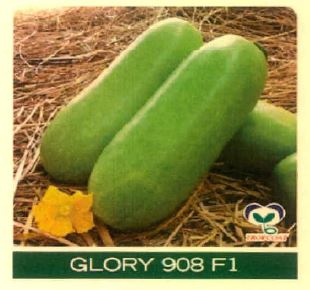 Glory 908 F1 Device mark 4915482 Trademark
