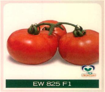 Ew 825 F1 Device mark 4915504 Trademark