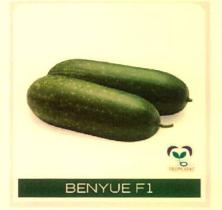Benyue F1 Device mark 4915481 Trademark
