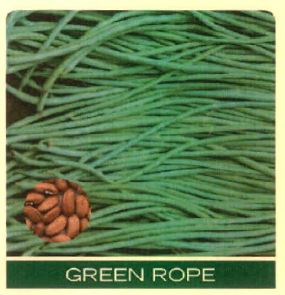 Green Rope Device mark 4915483 Trademark