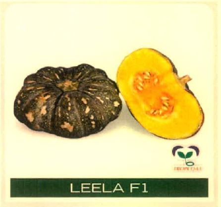 Leela F1 Device mark 4915473 Trademark