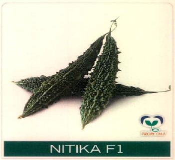 Nitika F1 Device mark 4915487 Trademark