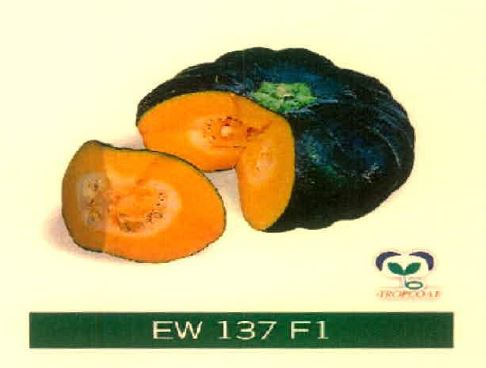 Ew 137 F1 Device mark 4915474 Trademark
