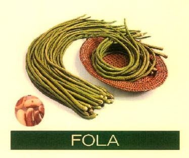Fola Device mark 4915486 Trademark