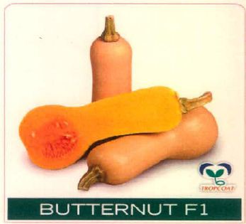 Butternut F1 Device mark 4915488 Trademark