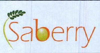 Saberry Device mark 4915557 Trademark