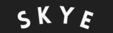 Skye Device mark 4947740 Trademark