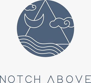 Notch Above Device mark 4950314 Trademark