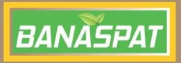 Banaspat Device mark 4954924 Trademark