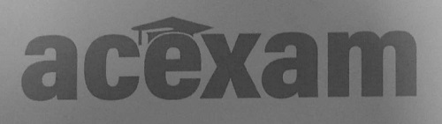Acexam Device mark 4958016 Trademark