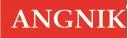 Angnik Device mark 4958121 Trademark