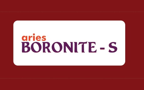 Aries Boronite- S Device mark 4966115 Trademark