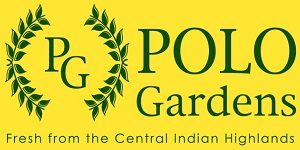 Polo Gardens Device mark 4966113 Trademark