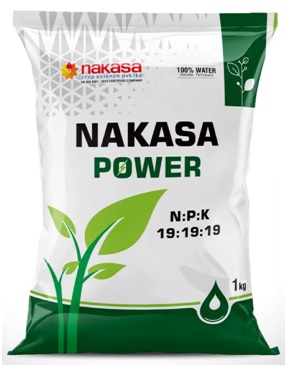 Nakasa Power Device mark 4967052 Trademark