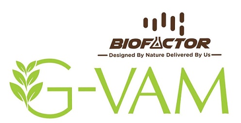 Biofactor G-vam (logo) Device mark 4968168 Trademark