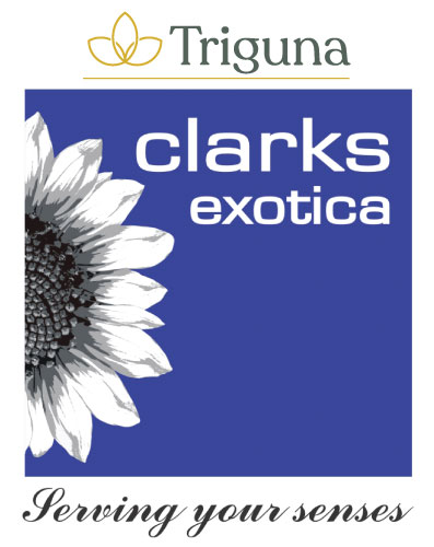 Triguna Clarks Exotica Device mark 4970309 Trademark