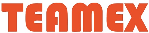 Teamex Device mark 4978263 Trademark
