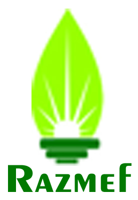 Razmef Device mark 4980756 Trademark