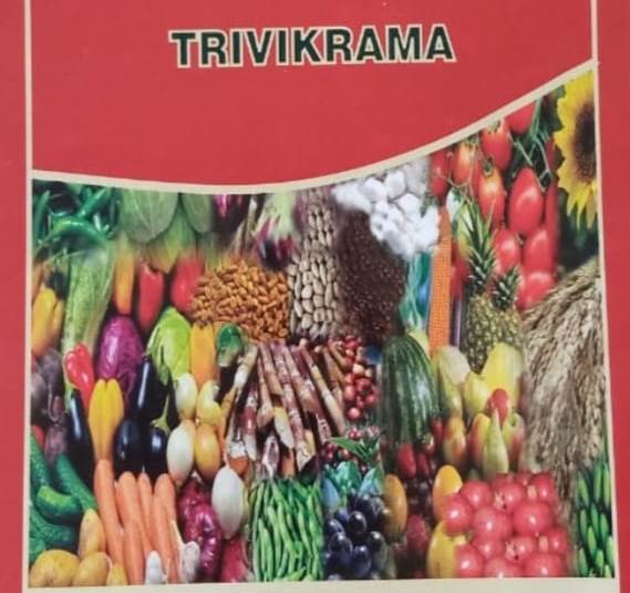 Trivikrama Device mark 4993687 Trademark